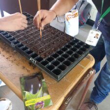 Cursos Complementarios para estudiantes de programas de Aceleración